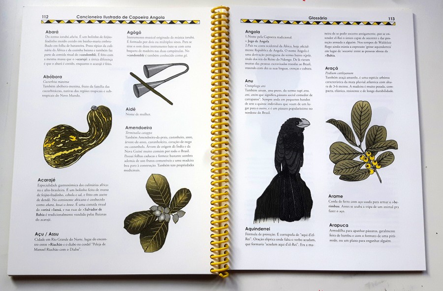 ✦CANCIONEIRO ILUSTRADO✦ artist soli price