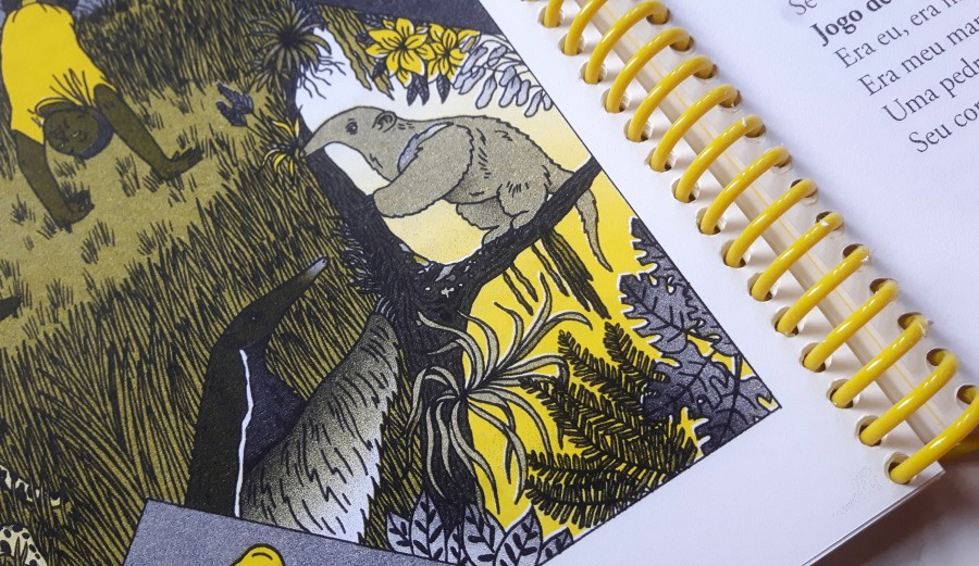 ✦CANCIONEIRO ILUSTRADO✦ artist soli price