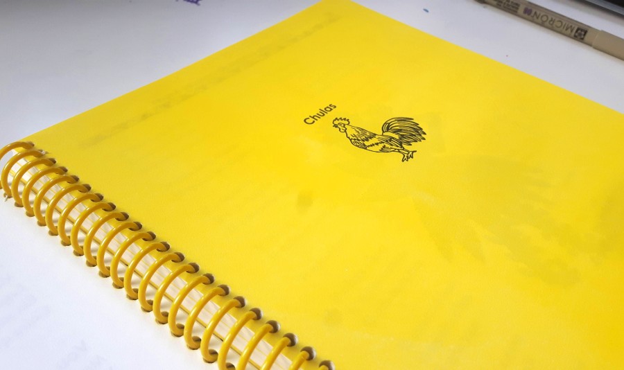 ✦CANCIONEIRO ILUSTRADO✦ artist soli price